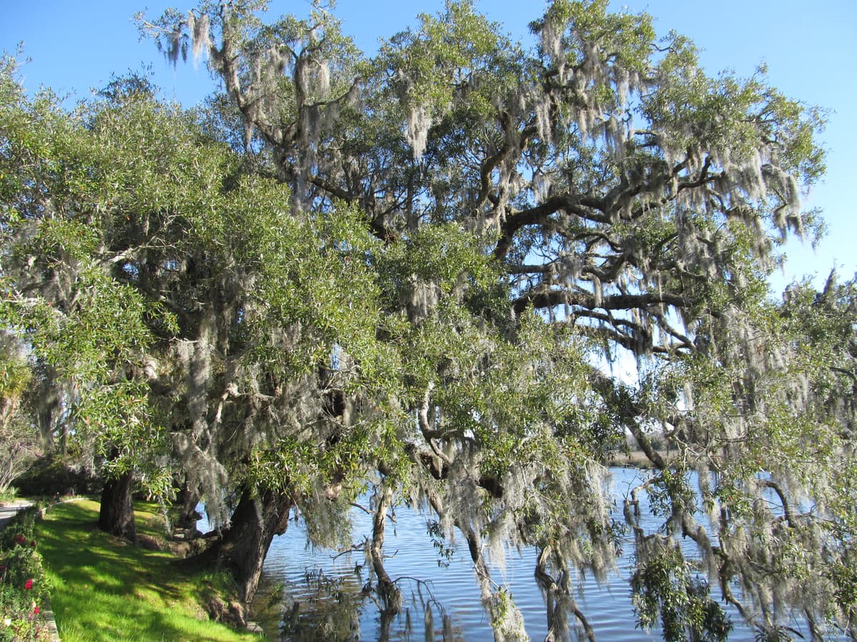 Charleston, SC