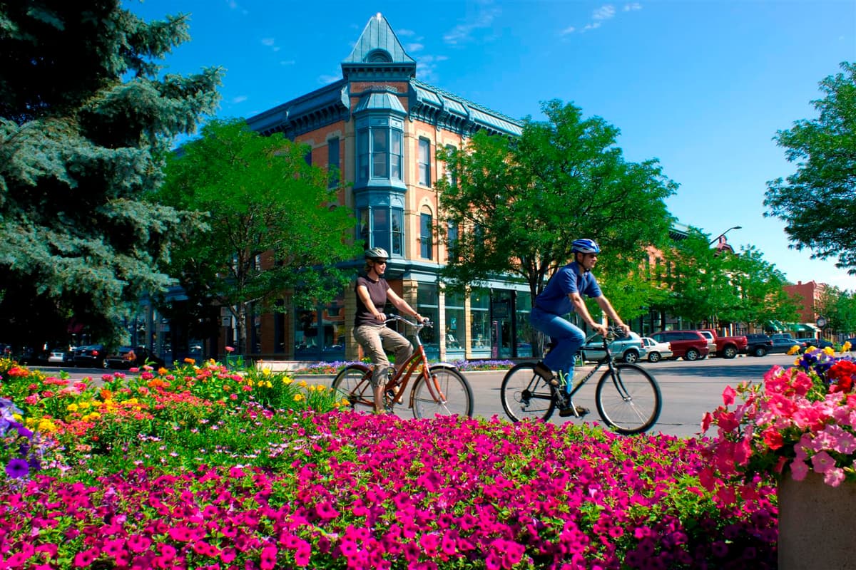 Fort Collins, CO