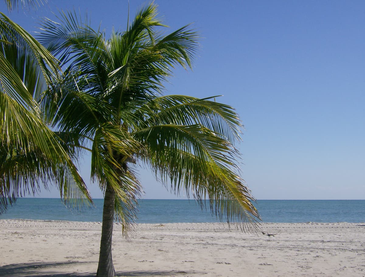 Key Biscayne, FL