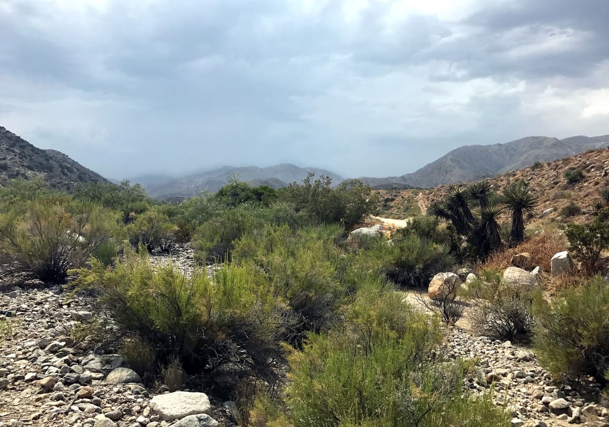 Morongo Valley, CA