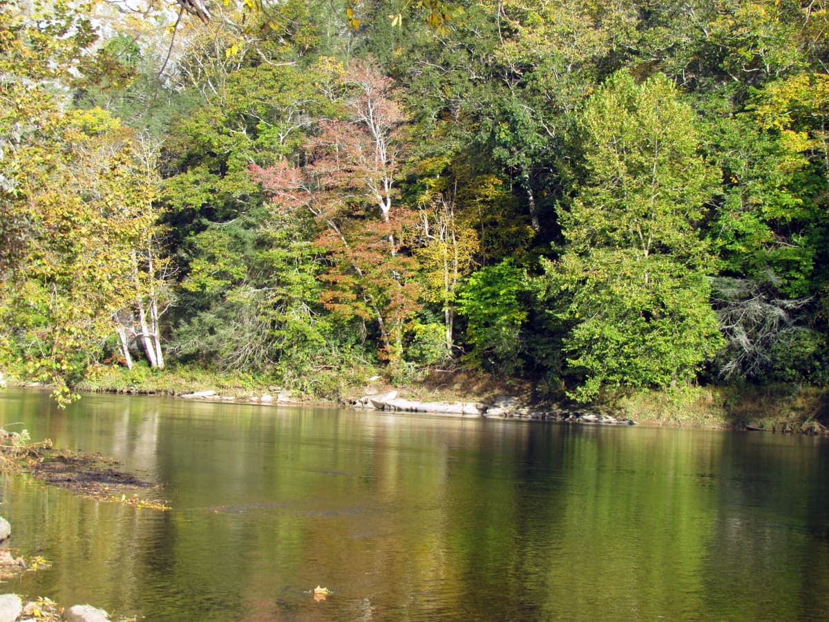 Piney Creek, NC