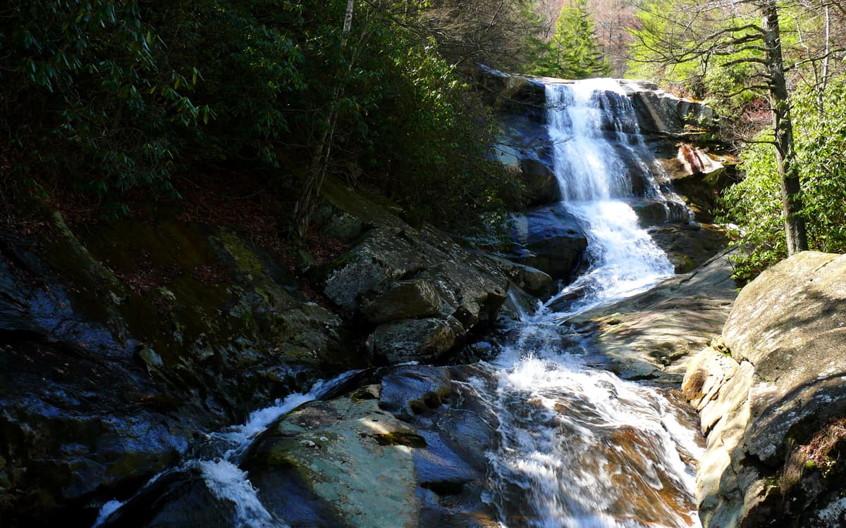 Pisgah Forest, NC